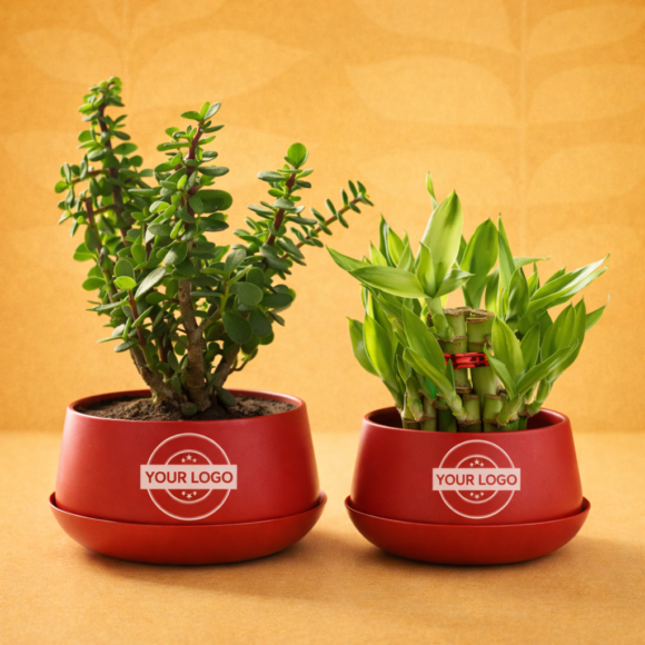 ChatGPT Image Feb 20, 2026, 03_22_23 PM