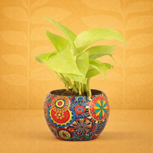 Money Plant In Colourful Rajwada Printed Pot