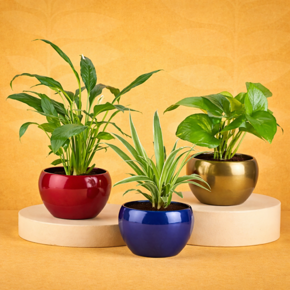 ChatGPT Image Feb 20, 2026, 03_42_54 PM