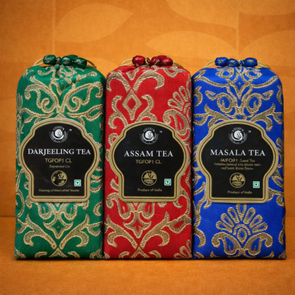 ChatGPT Image Feb 20, 2026, 12_00_07 PM