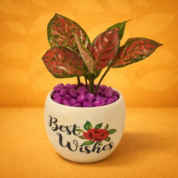 ChatGPT Image Mar 6, 2026, 04_28_44 PM